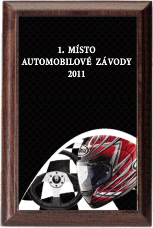 motorizmus - diplom deskový PLP204