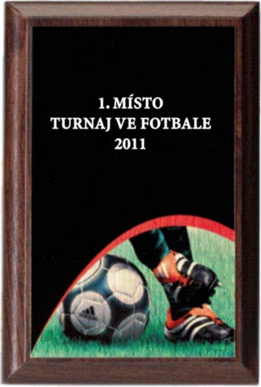 fotbal - diplom deskový PLP206