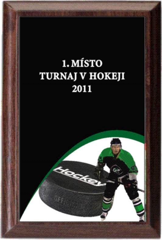 hokej - diplom deskový PLP207