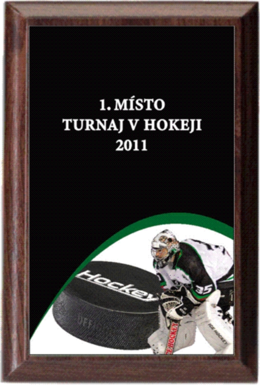 hokej - diplom deskový PLP209