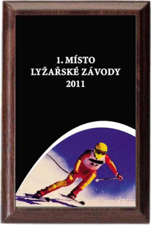 lyžování - diplom deskový PLP216