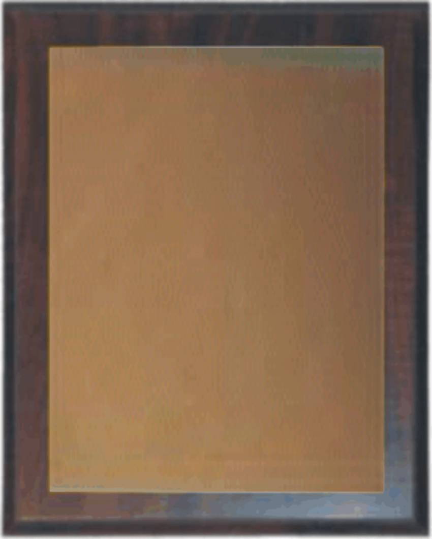 LEE5 deska višeň / plech bronz mat