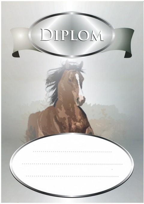Diplom jezdectví A4 - DP8