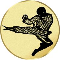 Bojové sporty - emblém LTK169V - Kliknutím na obrázek zavřete
