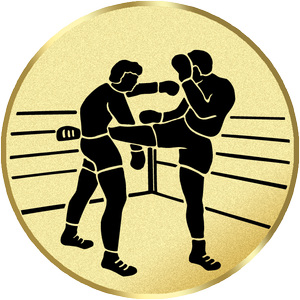 Bojové sporty - emblém LTK181V - Kliknutím na obrázek zavřete