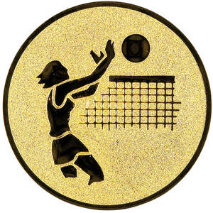 volejbal - emblém LTK020