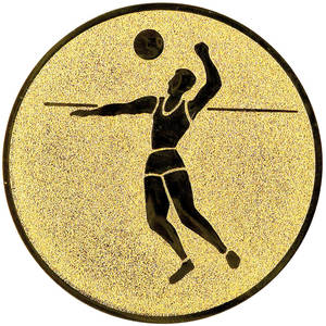 volejbal - emblém LTK021