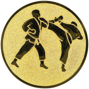 Bojové sporty - emblém LTK078V - Kliknutím na obrázek zavřete