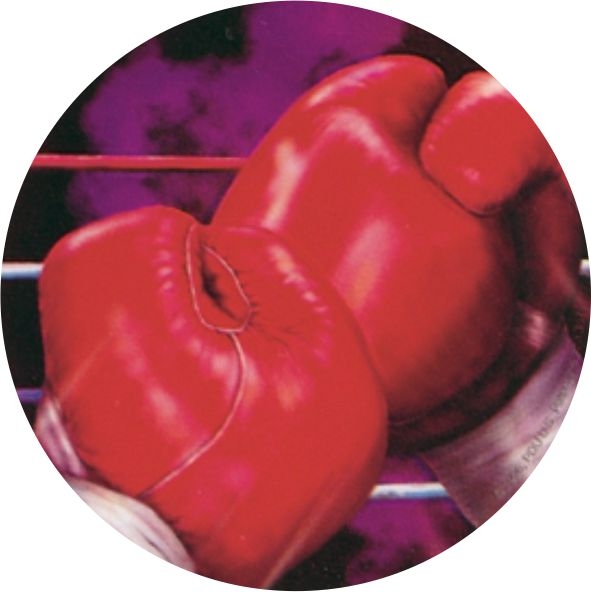 Bojové sporty - emblém GET0606V - Kliknutím na obrázek zavřete