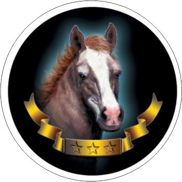 Jezdectví - emblém GET2302M - Kliknutím na obrázek zavřete