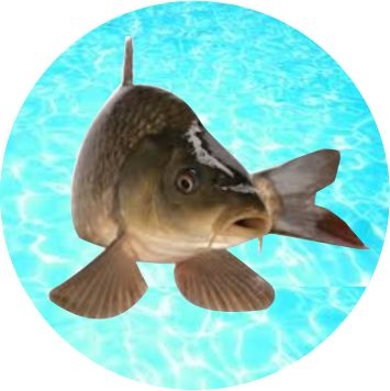 Rybaření - emblém GET5302V - Kliknutím na obrázek zavřete