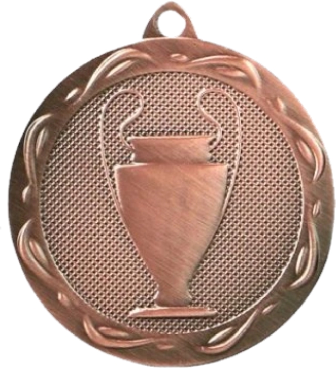 Medaile MMC1032B bronzová