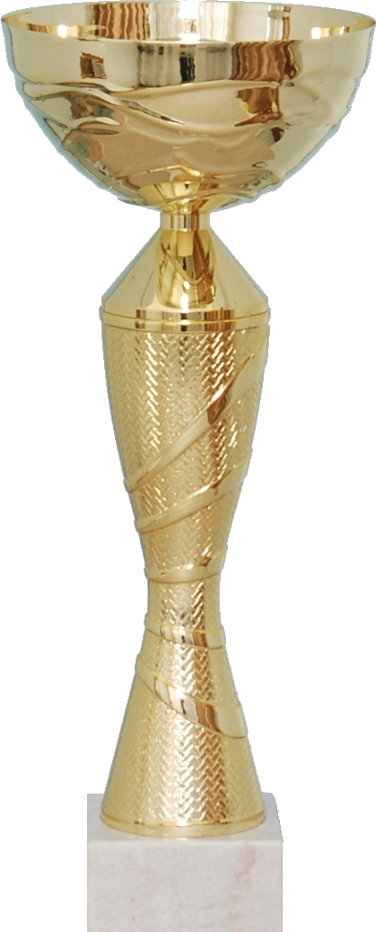 SPORTOVNÍ POHÁR TV 60153